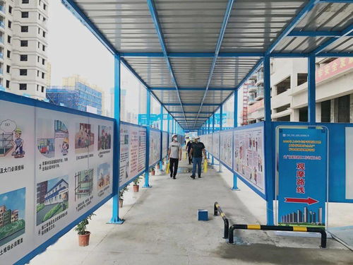 高顏值，高標準——公司武廣新城項目成功承辦長沙市附著式升降腳手架觀摩會
