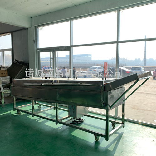 寧夏山藥清洗機價格與技術(shù)咨詢——諸城藍(lán)晶多圖詳解